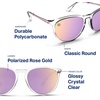 image:imageBlenders Eyewear North Park  Polarized Sunglasses  Classic Shape Mixed Metal Frame  100 UV Protection  For Men amp WomenAspen Rose