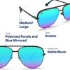 image:imageBlenders Eyewear Shadow  Polarized Sunglasses  Modern AviatorStyle Metal Frames  100 UV Protection  For Men amp WomenFlying Pretty