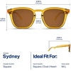 image:imageBlenders Eyewear Sydney  Polarized Sunglasses with GoldPlated Metal Core  100 UV Protection  For Men amp WomenAmber Coast